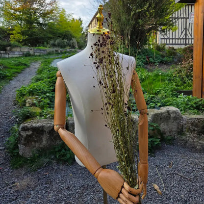 Variété florale originale et rare cultivée en France, spécifiquement sélectionnée pour diversifier qualitativement l'offre locale de fleurs séchées en vrac.