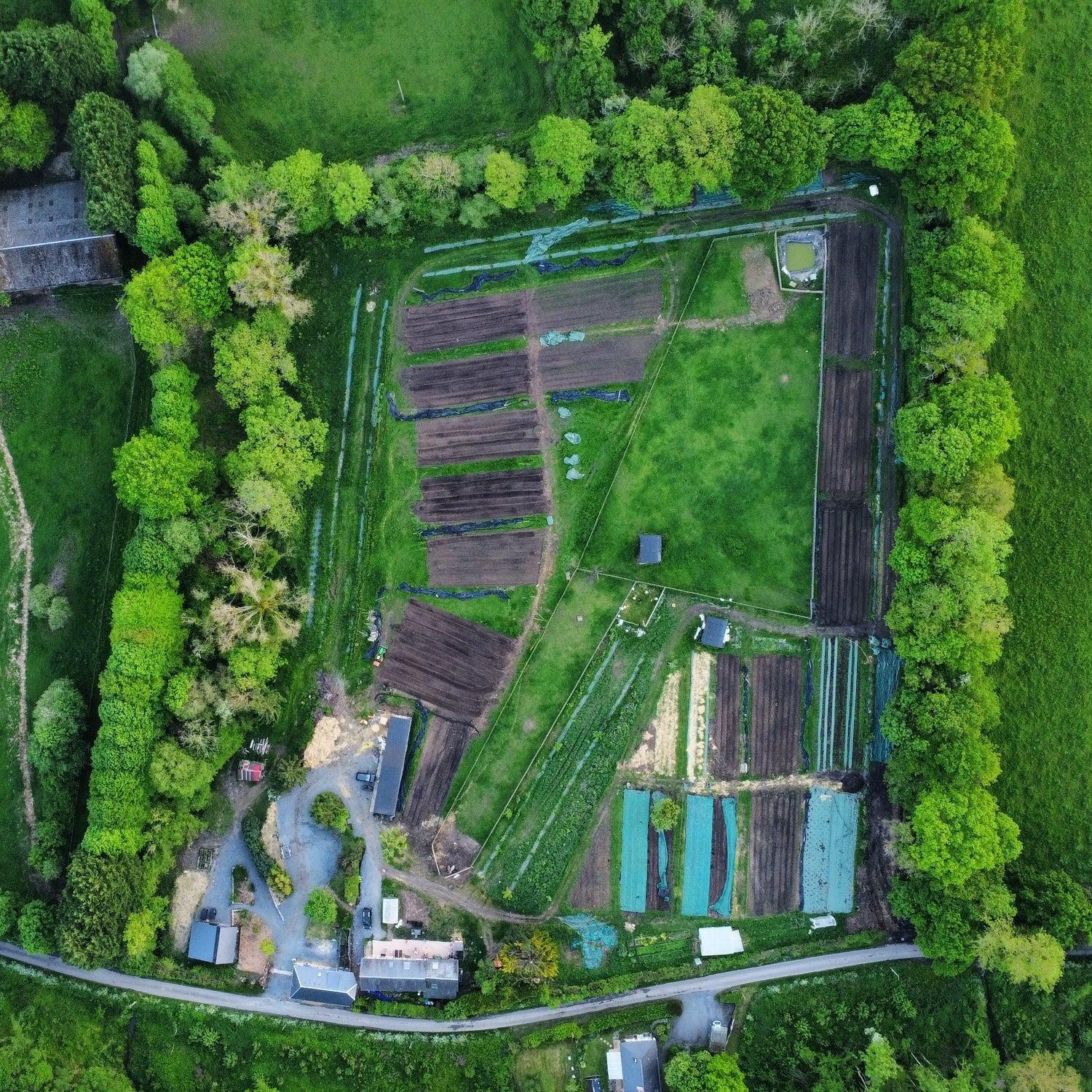 Ferrme florale des Fleurs de la Clarté : 2ha de surface et 6000 m2 cultivés. Besoin de bras