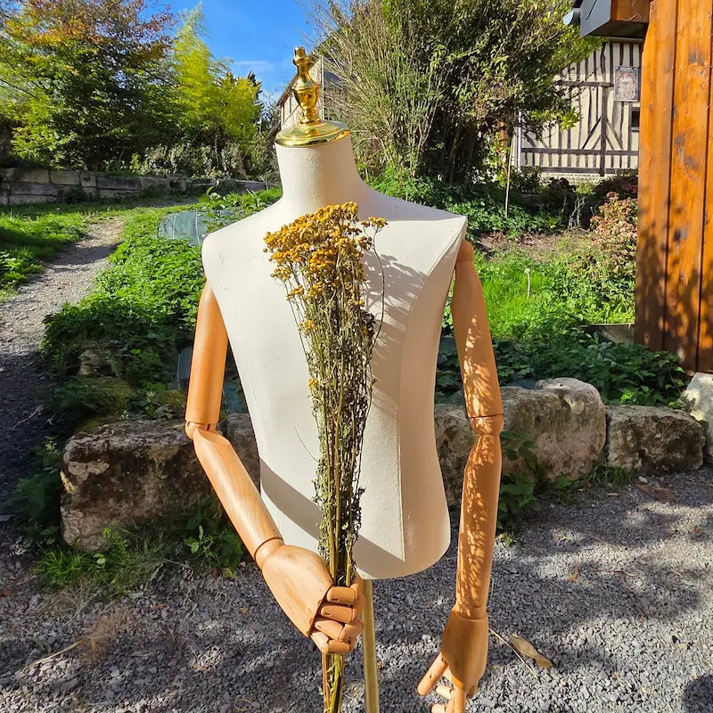 Bottes de tanaisie de la ferme florale Fleurs de la Clarté vendu en vrac à prix grossiste