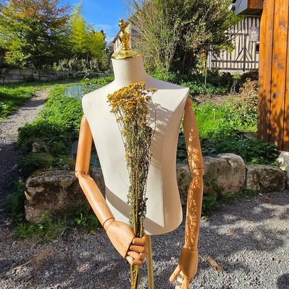 Bottes de tanaisie de la ferme florale Fleurs de la Clarté vendu en vrac à prix grossiste