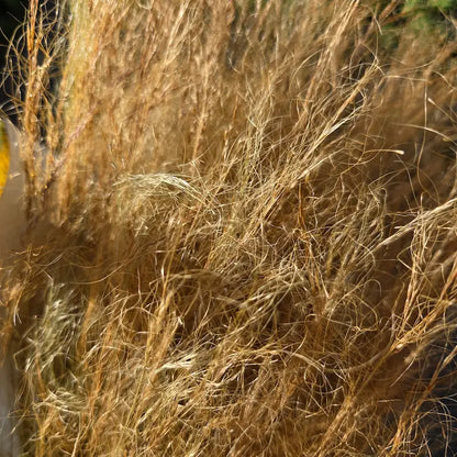 Macro sur la texture incroyablement soyeuse et aérienne des cheveux d'ange séchés, offrant un blanc naturel éclatant.