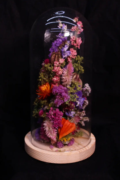 Cloche en verre décorative garnie de fleurs séchées naturelles de notre ferme florale.
