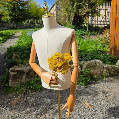 Botte d'achillée jaune séchée vendue en vrac, dotée de grandes ombelles lumineuses indispensables pour structurer vos bouquets de fleurs.